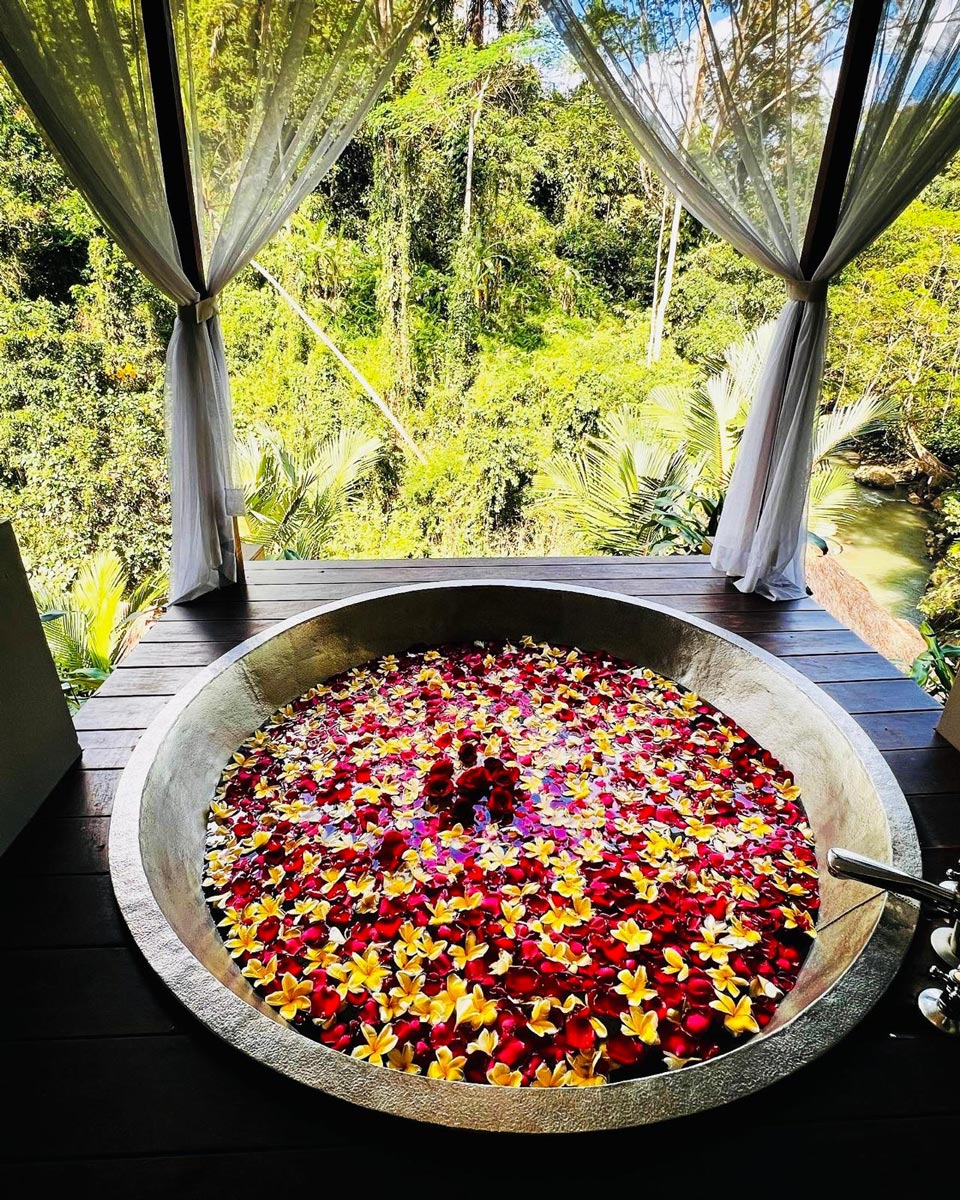 Bali retreat professionals