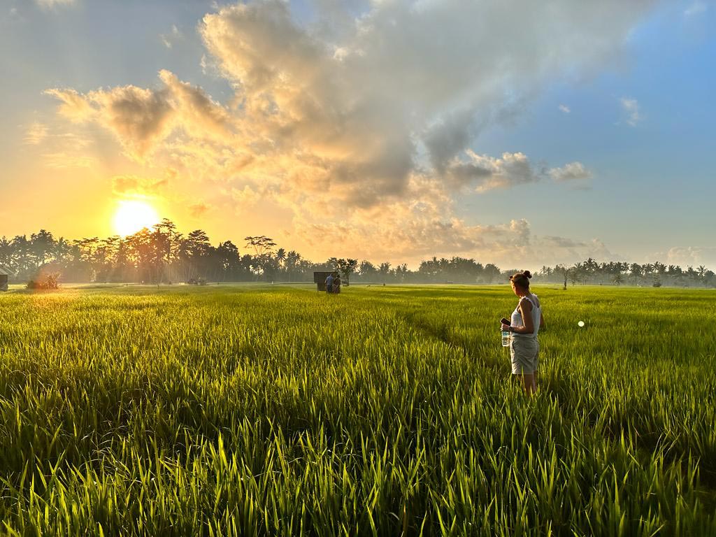 Back to You Bali